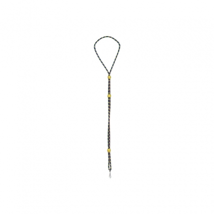 RA-1293