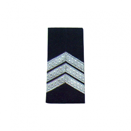 RA-879