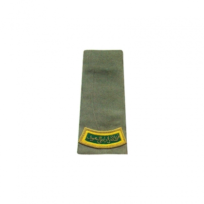 RA-870
